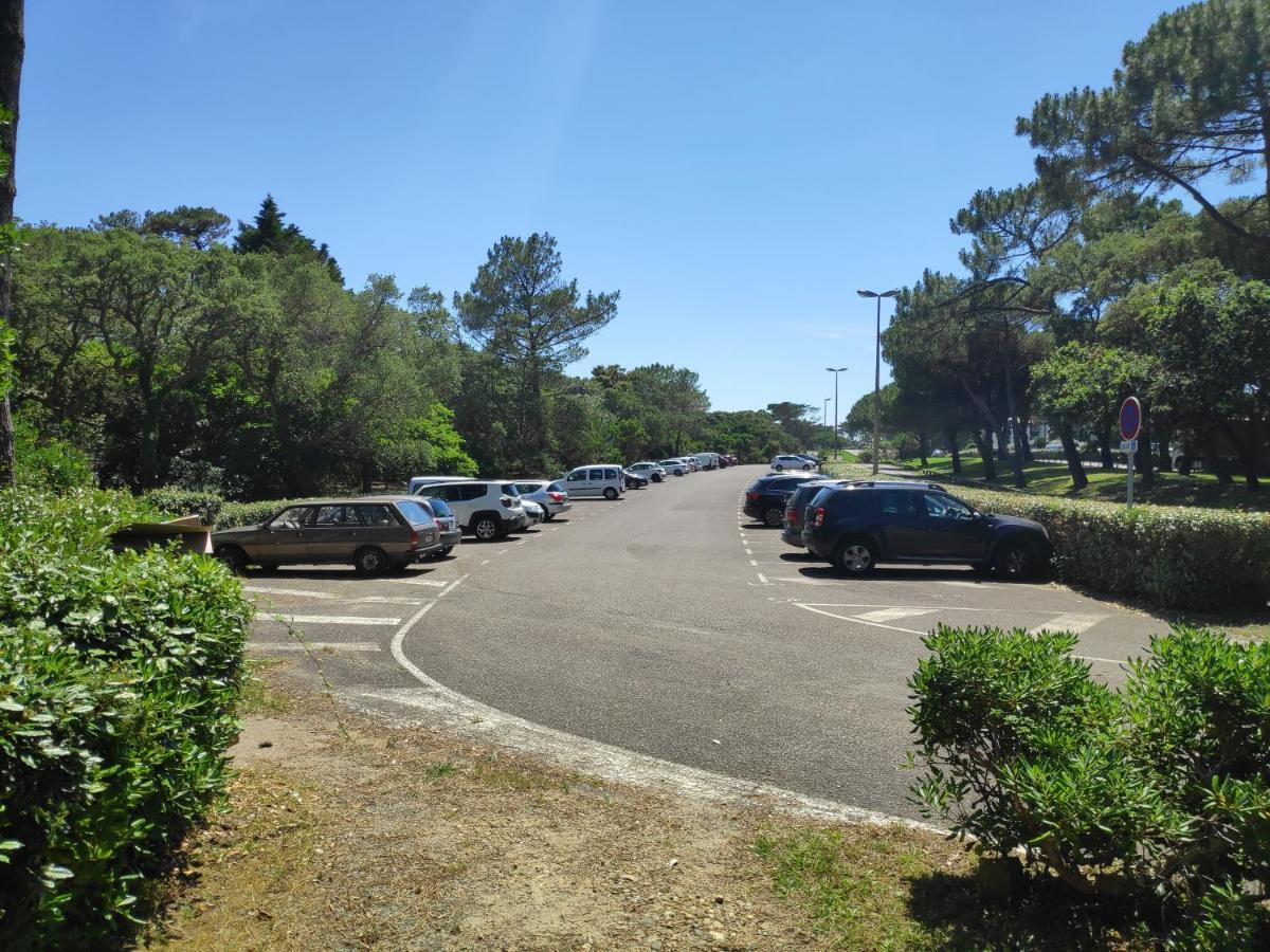 Appt Seignosse Le Penon - Plages Commerces A Pied Экстерьер фото